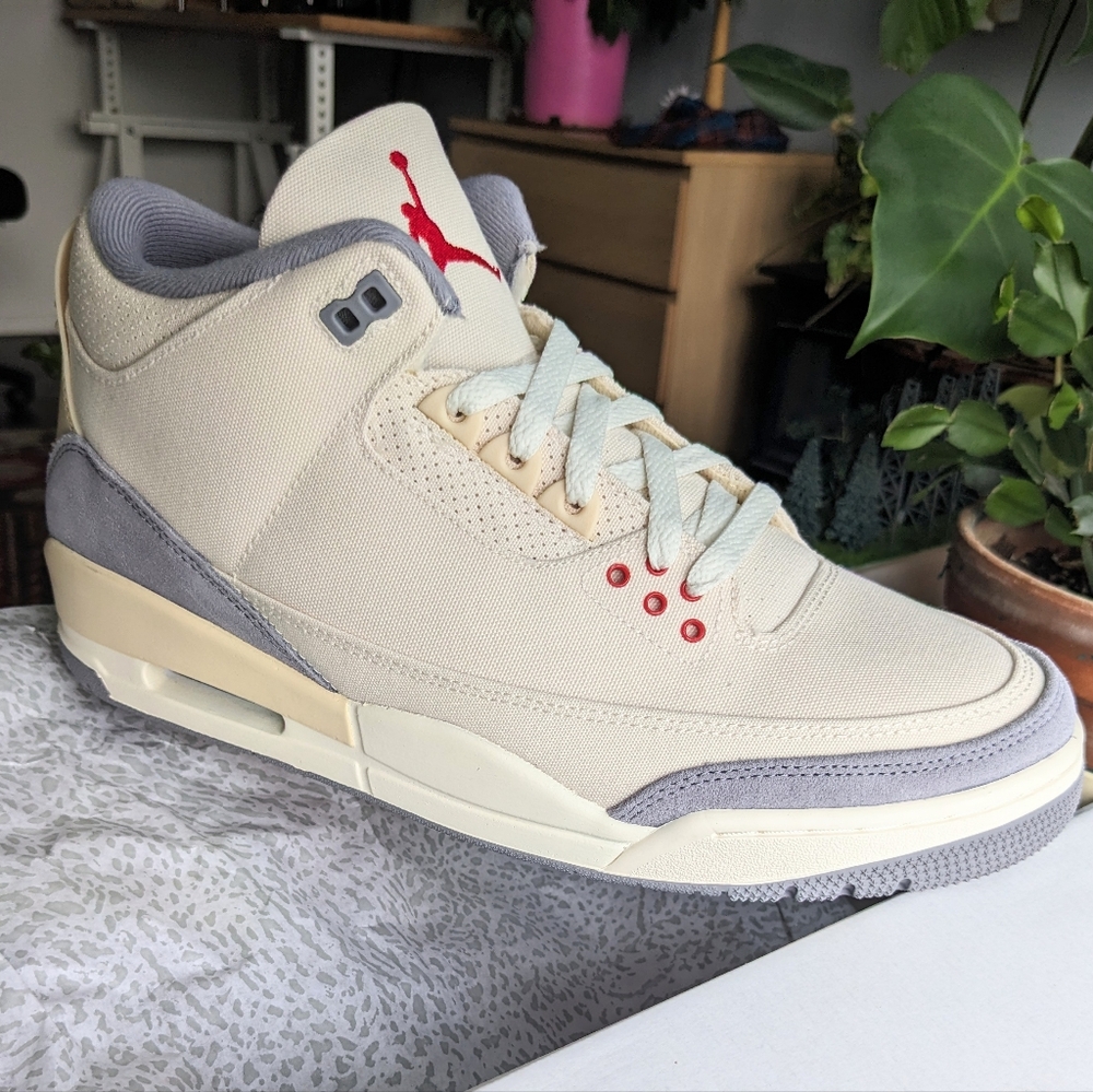 Air Jordan 3 Retro SE